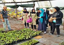 بازدید دختران مؤسسات از گلخانه ای در شهر صور/ گزارش تصویری