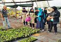 بازدید دختران مؤسسات از گلخانه ای در شهر صور/ گزارش تصویری